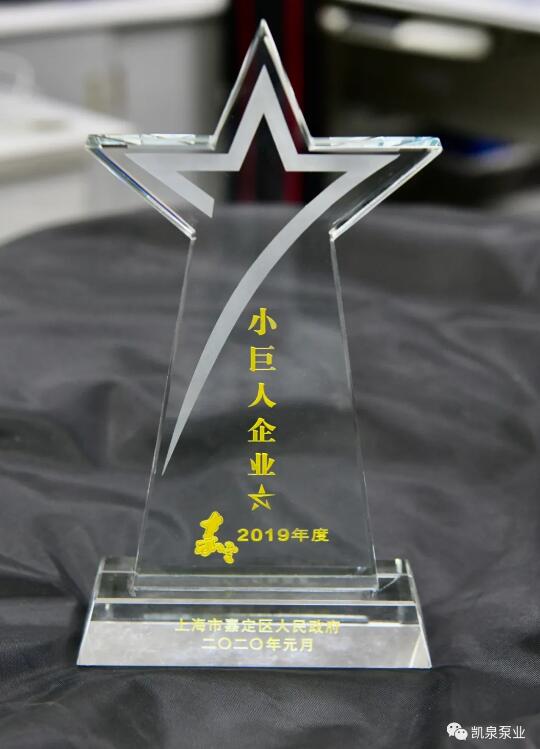 上海凱泉泵業(yè)再次榮膺嘉定區(qū)“小巨人企業(yè)“稱號(hào) 上海凱泉泵業(yè)再次榮膺嘉定區(qū)“小巨人企業(yè)“稱號(hào)