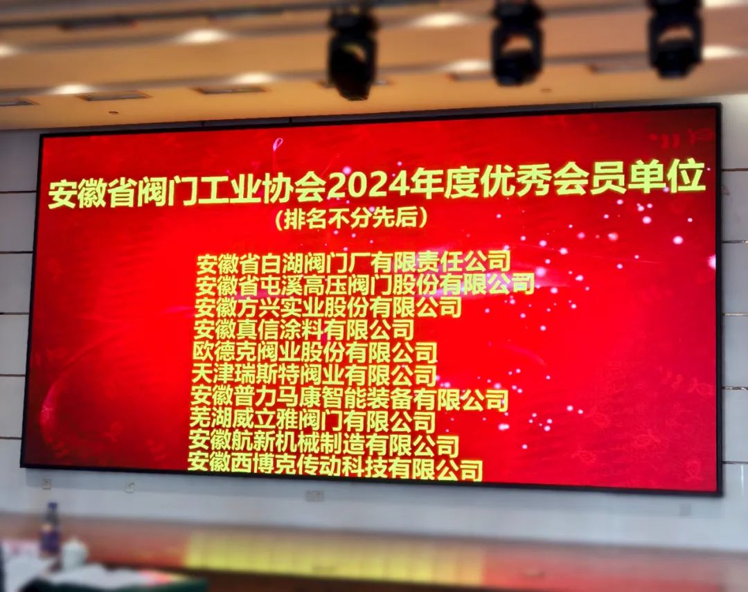 方興實業(yè)榮獲安徽省閥門工業(yè)協(xié)會“2024年度優(yōu)秀會員單位”稱號